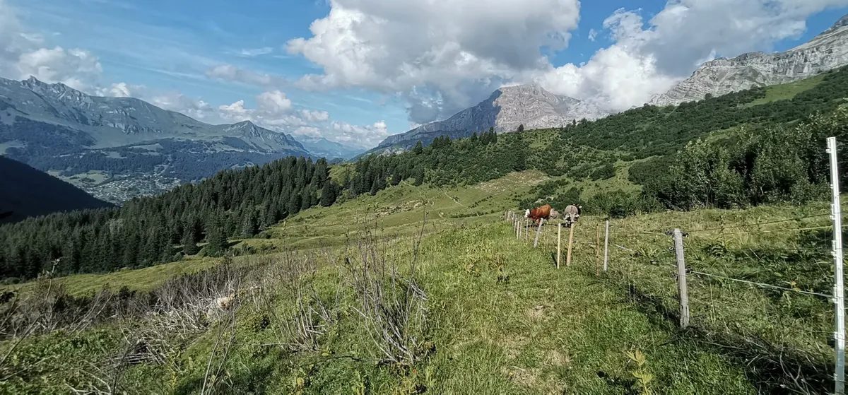 Arpille