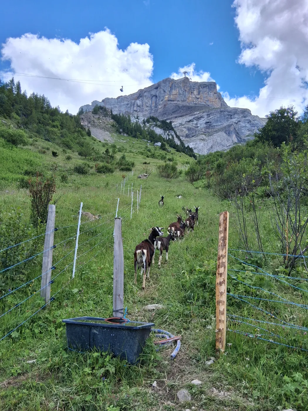 Le parc est prêt !